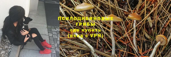 ALPHA-PVP Няндома