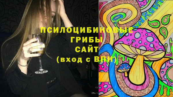 ALPHA-PVP Няндома