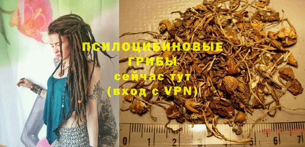 ALPHA-PVP Няндома